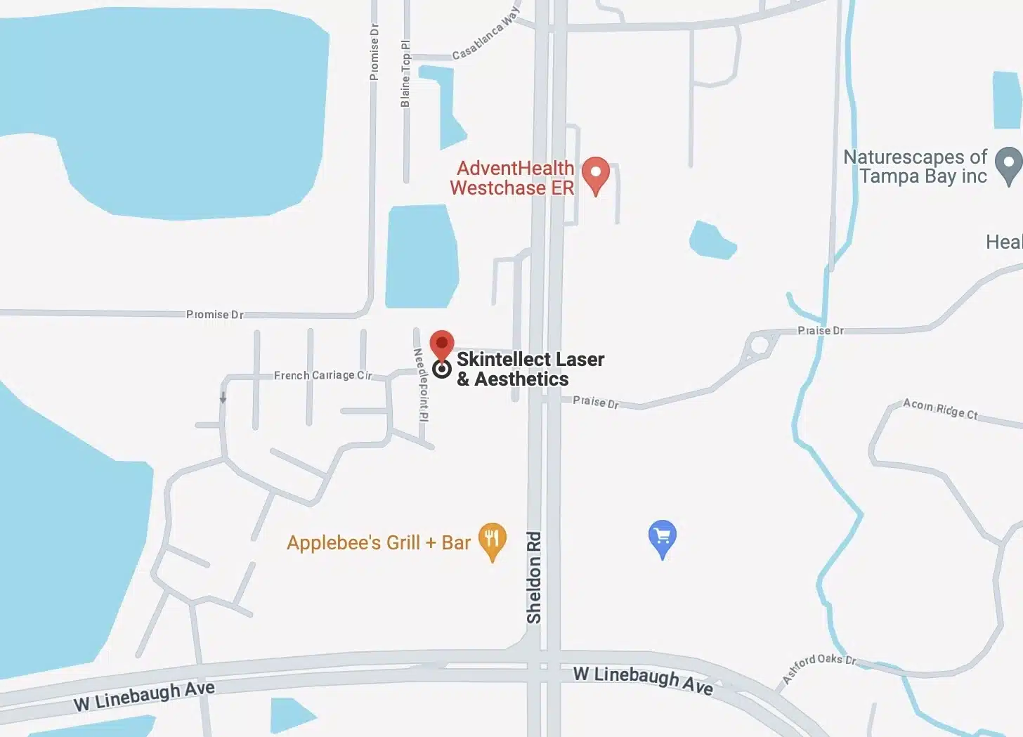 Skintellect Laser & Aesthetics | Tampa Florida